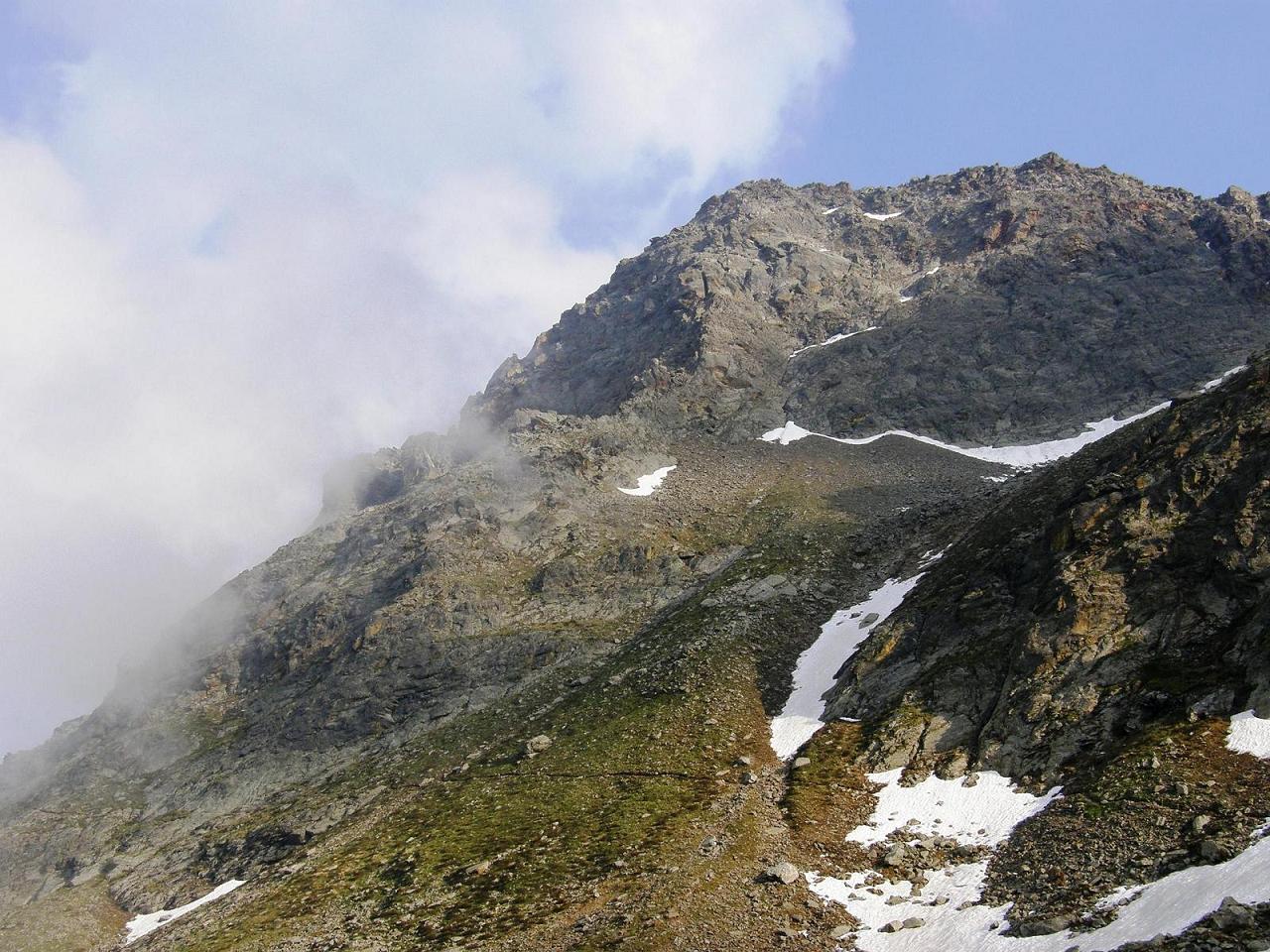 Lloydia serotina / Falangio alpino, Giglietto tardivo